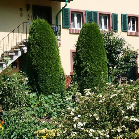 Dani`s Ferienwohnung Freiamt Exterior foto